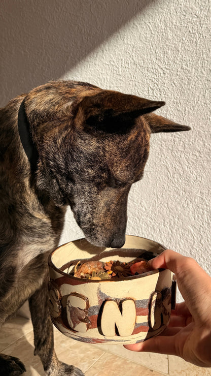 A brindle dog eating from a decorative ceramic bowl held by a human hand against a textured white wall.