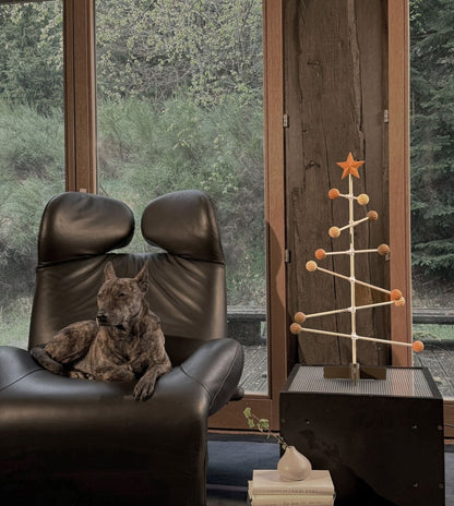 Dog sitting on a black leather chair next to a wooden Christmas tree decoration in a room with large windows.