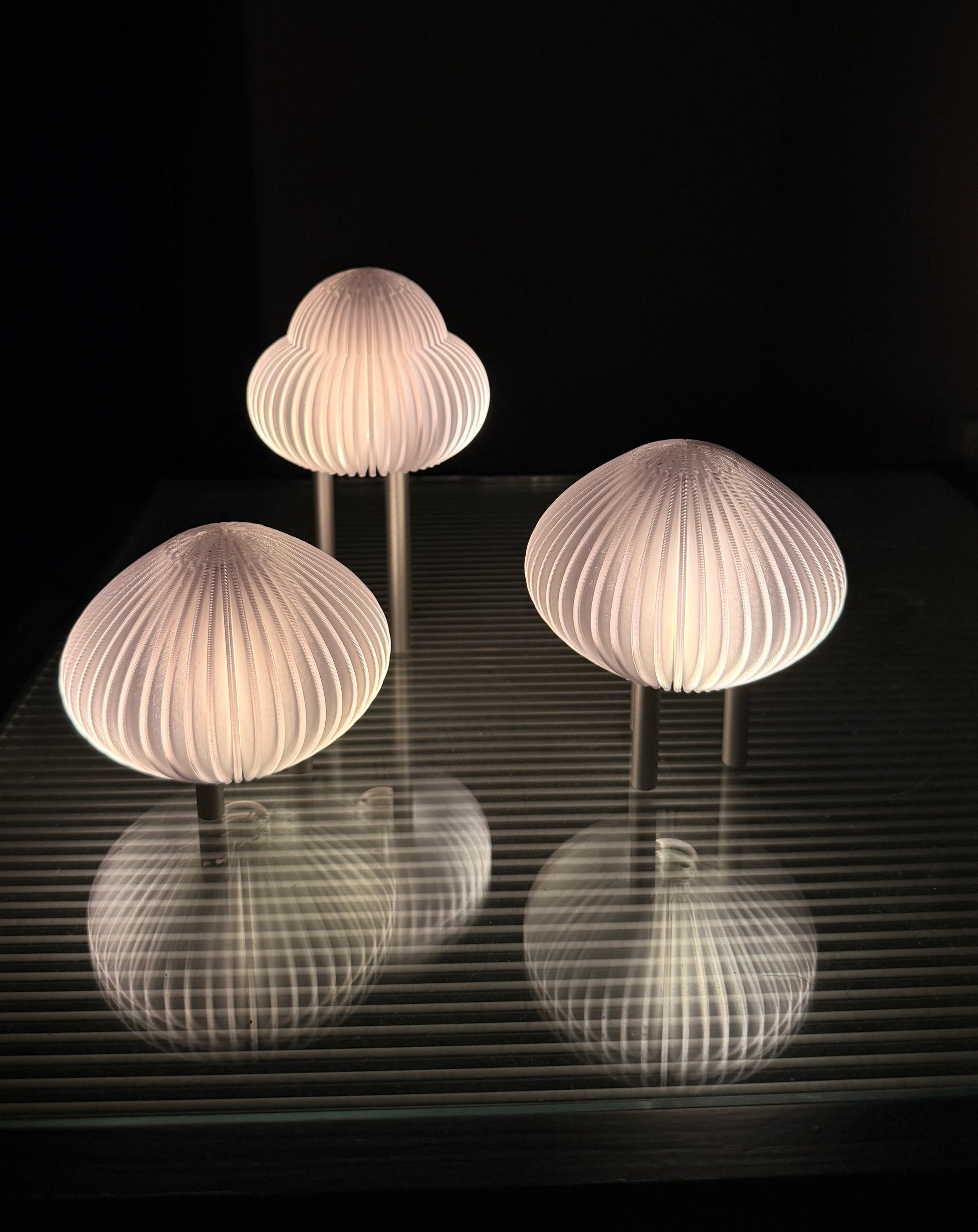 Three shell-shaped lamps on a reflective surface with a dark background