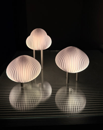 Three shell-shaped lamps on a reflective surface with a dark background