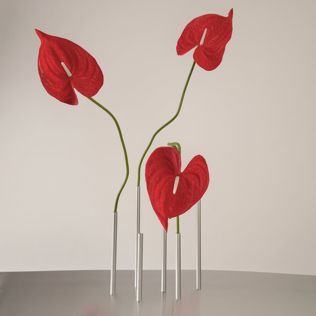 Three red anthurium flowers on long green stems, mounted in clear cylindrical holders on a reflective gray tabletop against a plain light gray studio backdrop.