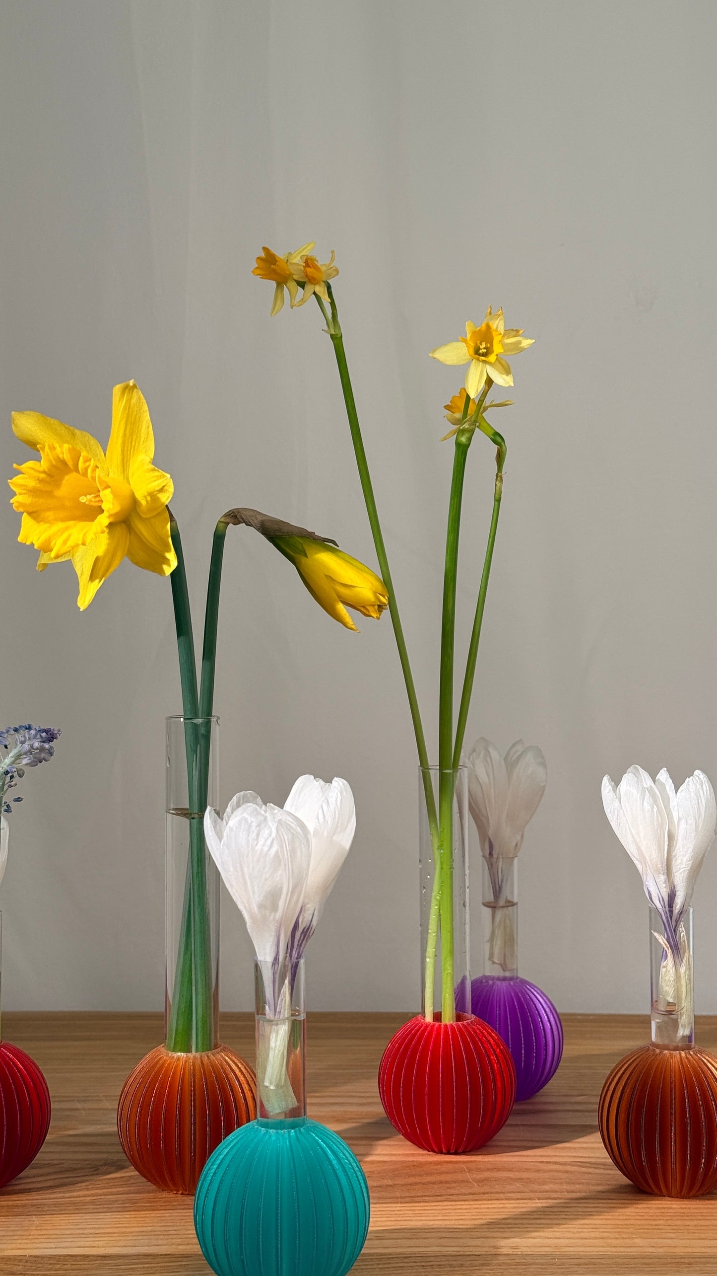 Vases with flowers on a wooden surface against a gray background