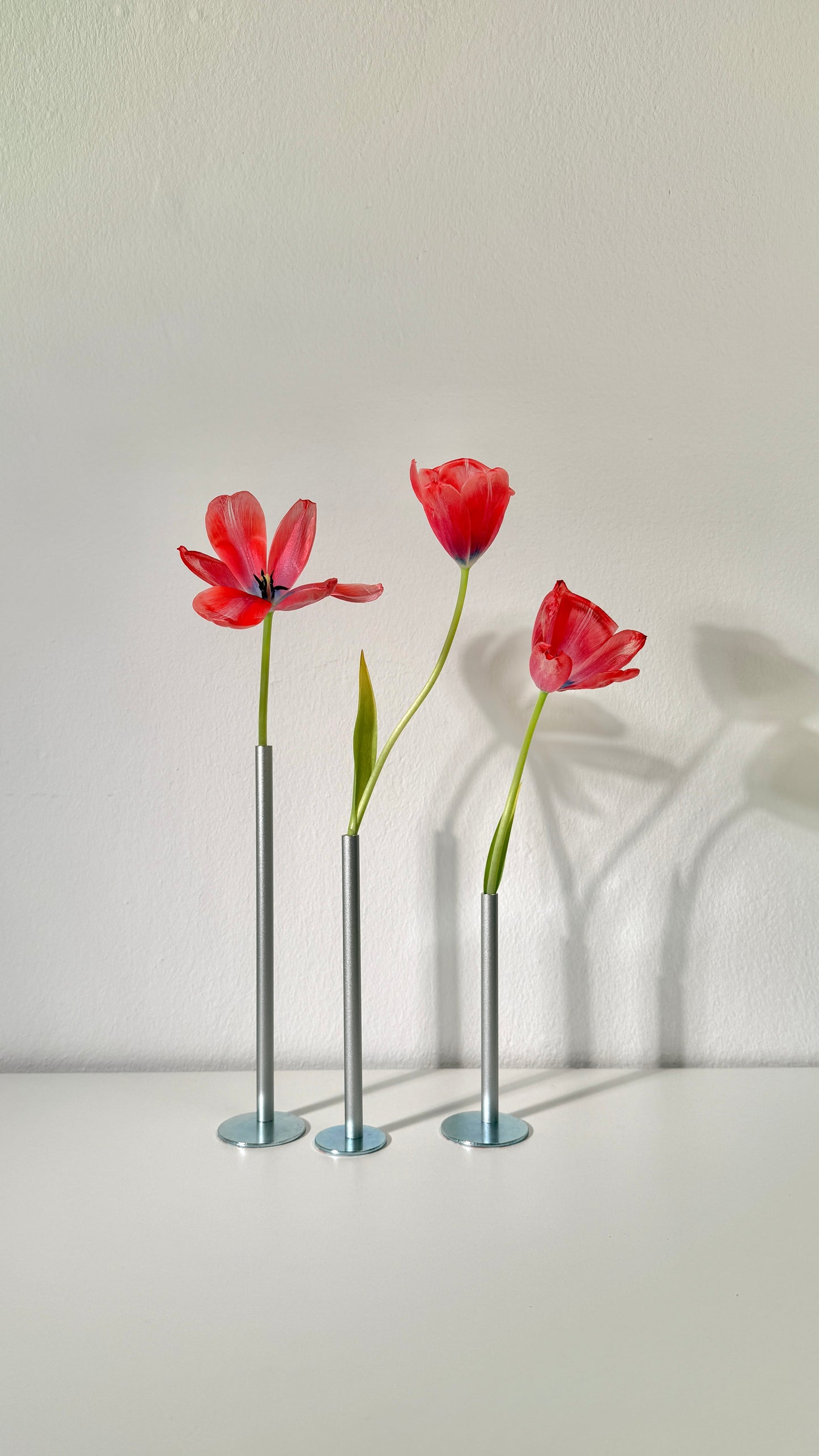 Three red tulips in metallic vases on a light gray background