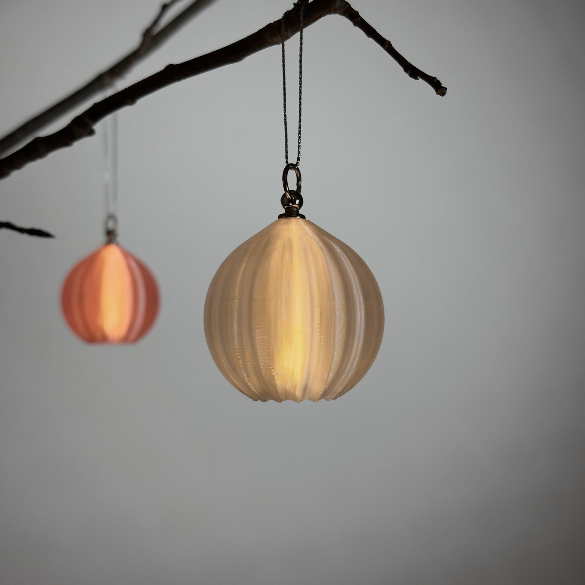 Two hanging light fixtures on a branch against a gray background